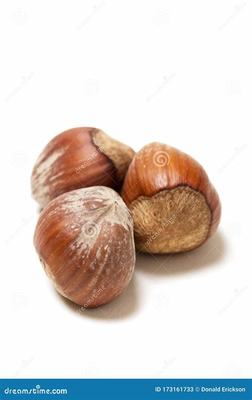 網(wǎng)游代理新藍(lán)海 《三國將無雙》0.1折魂穿三國模式的國際化運(yùn)營之道